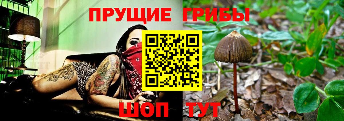 Псилоцибиновые грибы мицелий  Вход с VPN  Псилоцибиновые грибы MAGIC MUSHROOMS  Артёмовский 